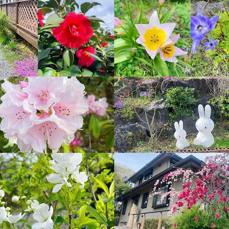 貸別荘花摘里　伊豆高原 Futo Экстерьер фото