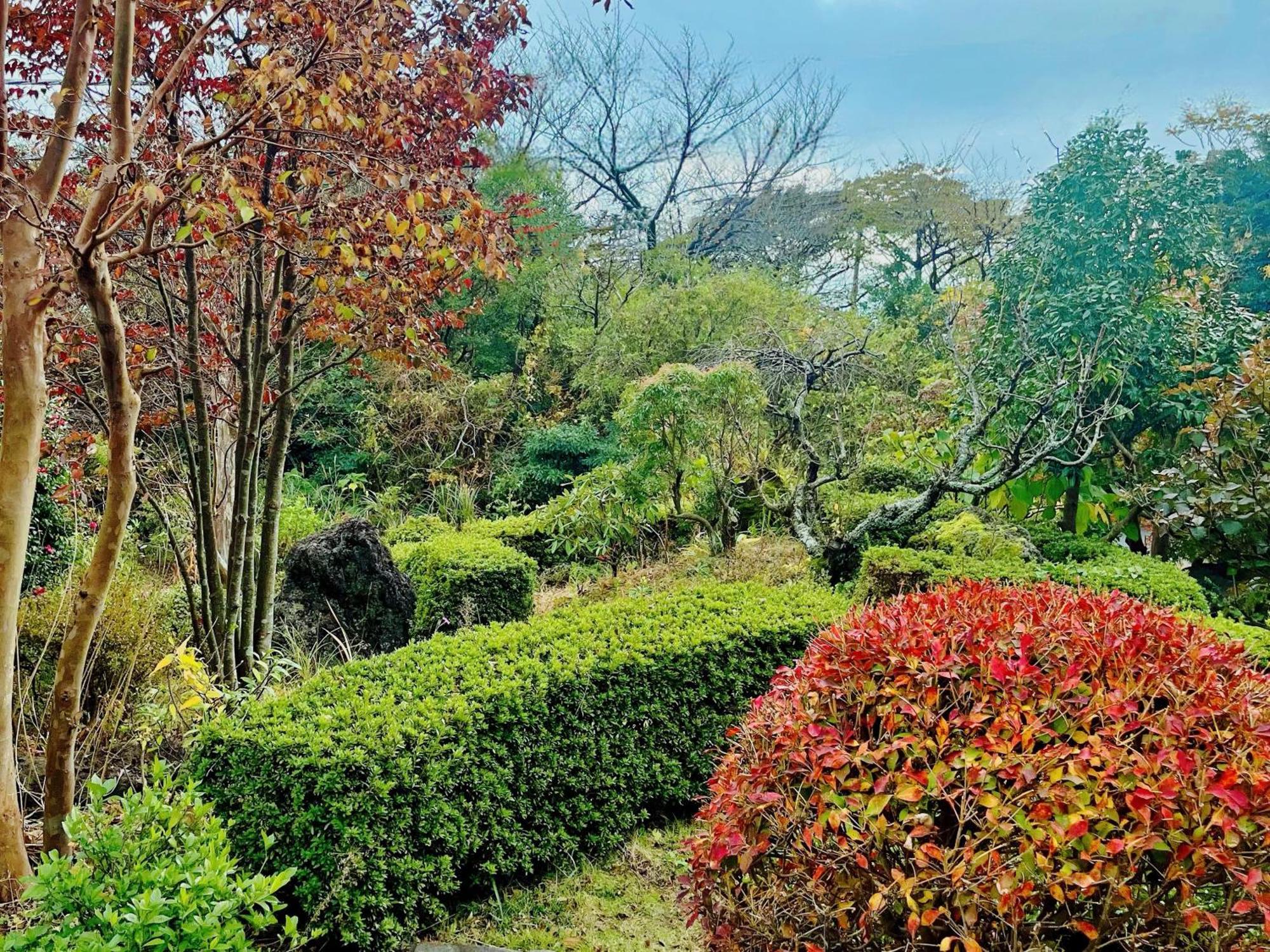貸別荘花摘里　伊豆高原 Futo Экстерьер фото