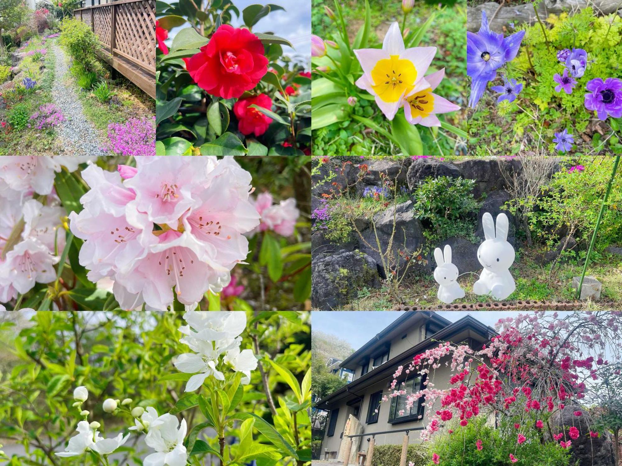 貸別荘花摘里　伊豆高原 Futo Экстерьер фото